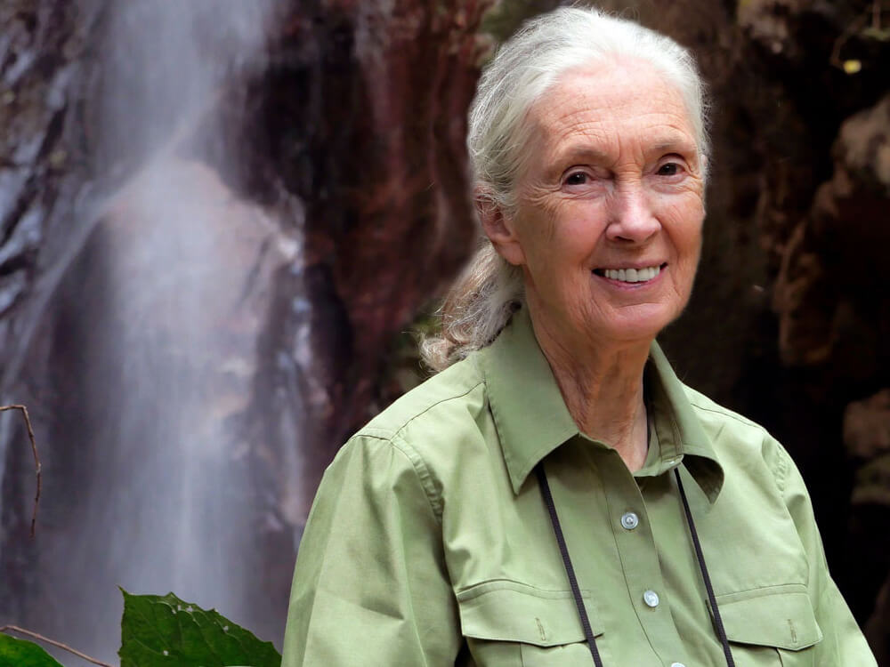 Dr. Jane Goodall