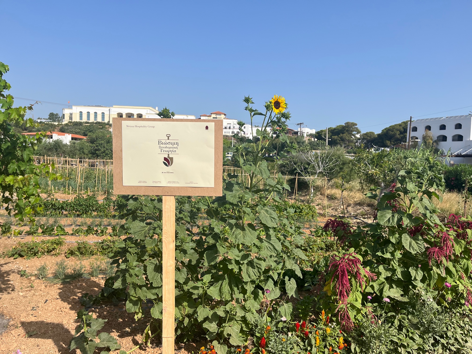 βιώσιμη ξενοδοχειακή γεωργία