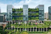 Οι κρεμαστοί κήποι της Σιγκαπούρης